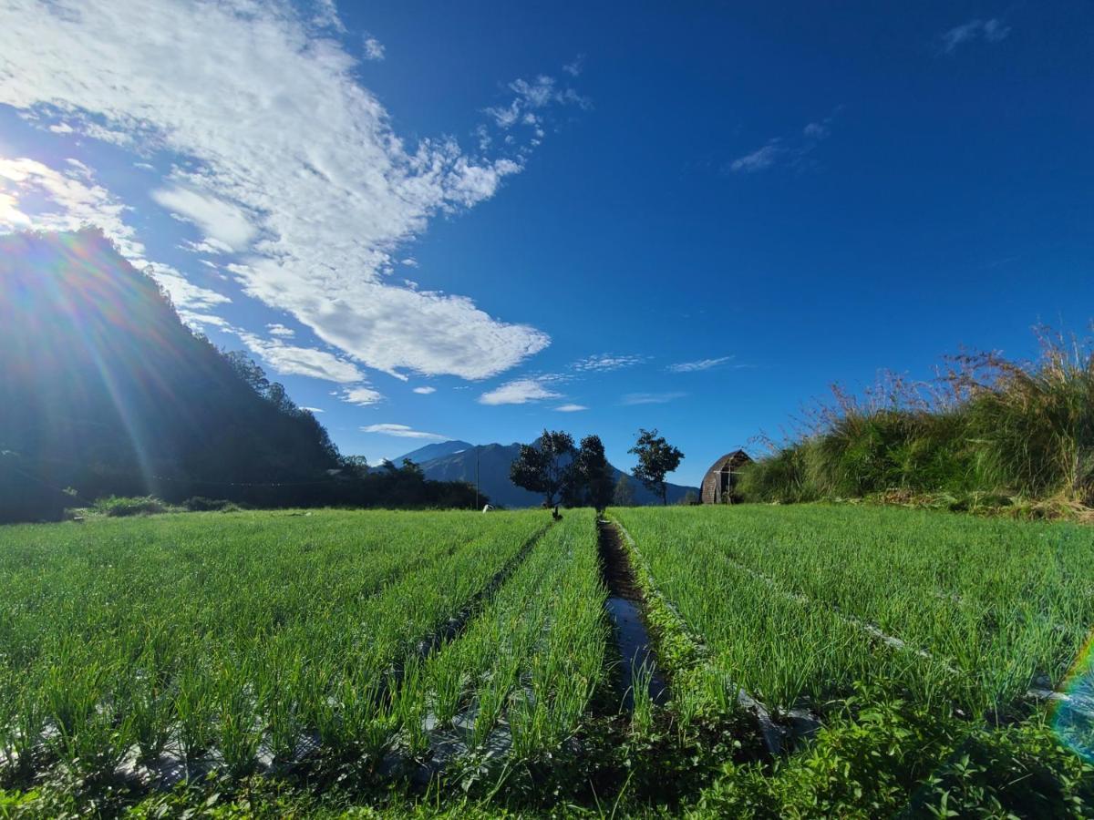 Kintamani Batur Lake View المظهر الخارجي الصورة